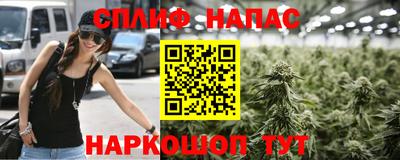 СК Заводоуковск