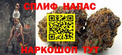 СК Заводоуковск