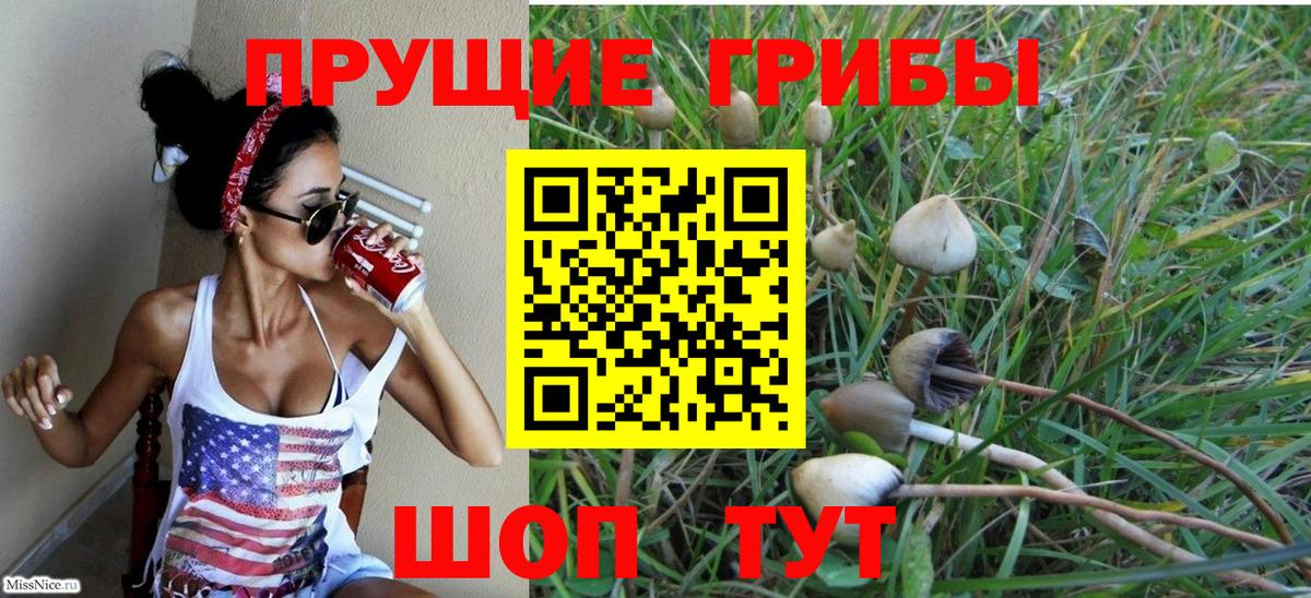 Псилоцибиновые грибы ЛСД Котлас