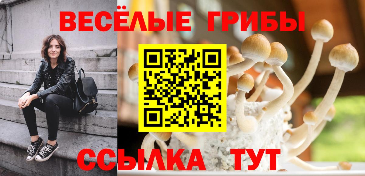 Псилоцибиновые грибы Psilocybine cubensis  Вход с VPN  Котлас 
